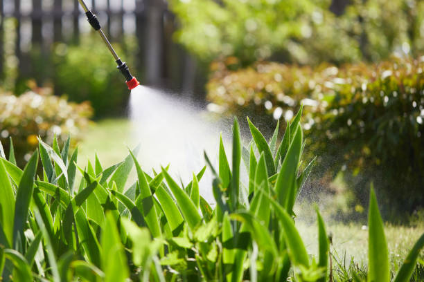 24/7 Emergency Mosquito Control experts in Mesquite, NV