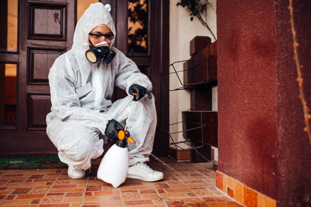 Reliable Mosquito Control contractor in Mesquite, NV by Show Me Pest Control