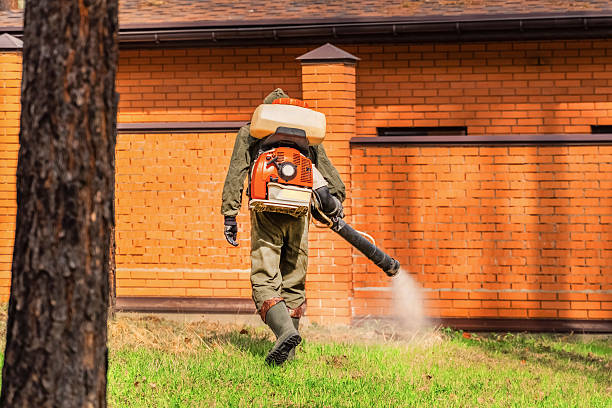 Top rated local Mosquito Control specialists in Mesquite, NV